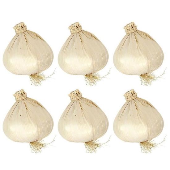 Fcnjsao Concombre Artificiel Réaliste Simulation Faux Légumes