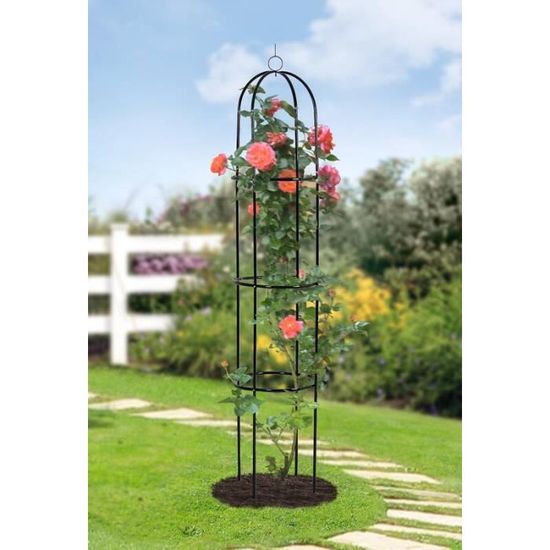 Rumsfel Obélisque de Jardin, Tuteur Plante Grimpante, Treillis Fleur  Soutien de Arche de Jardin en Forme de Tour : : Jardin