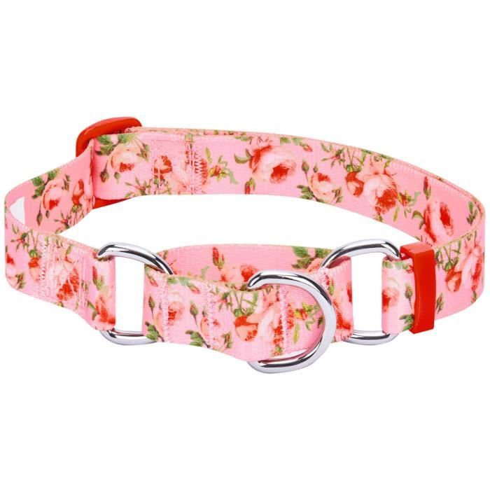 Blueberry Pet Collier Chien Martingale entraînement en sécurité Inspiration du printemps, Rose, Petit, ajustables très résistants