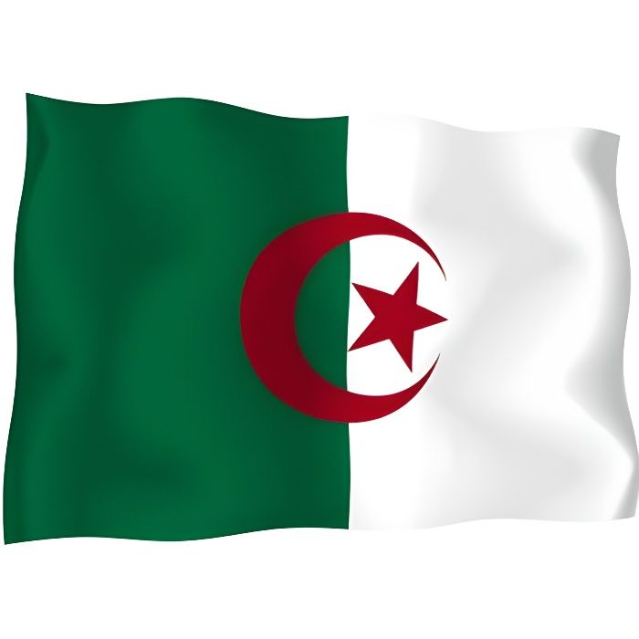 Autocollant sticker drapeau voiture algerie