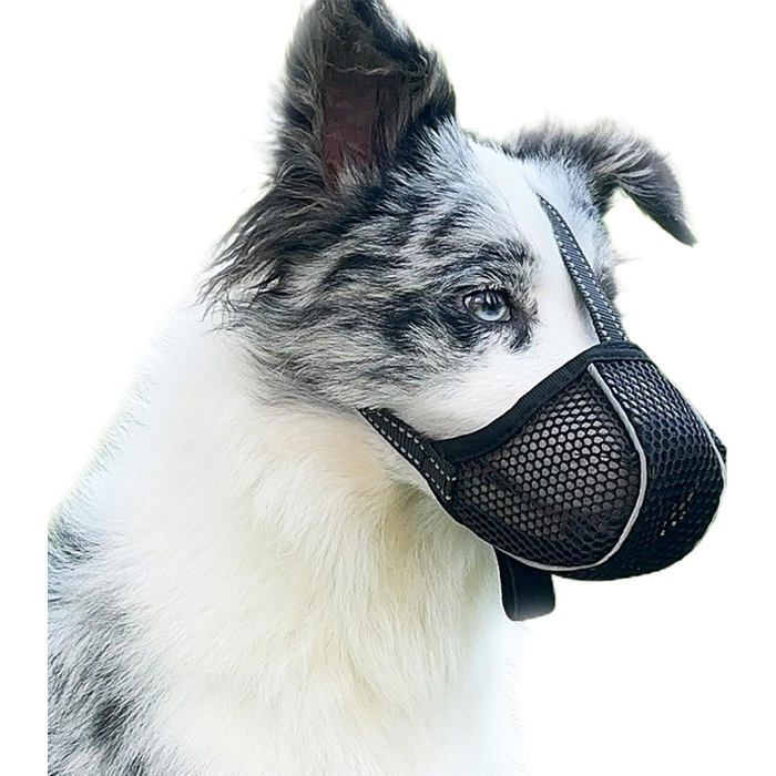 Meilleurs prix pour Muselière pour Chien Empêche de Mâcher/Manger/Mordre - Couvre Muselière Respirante Réfléchissante et Ajustable - Anti MUSELIERE