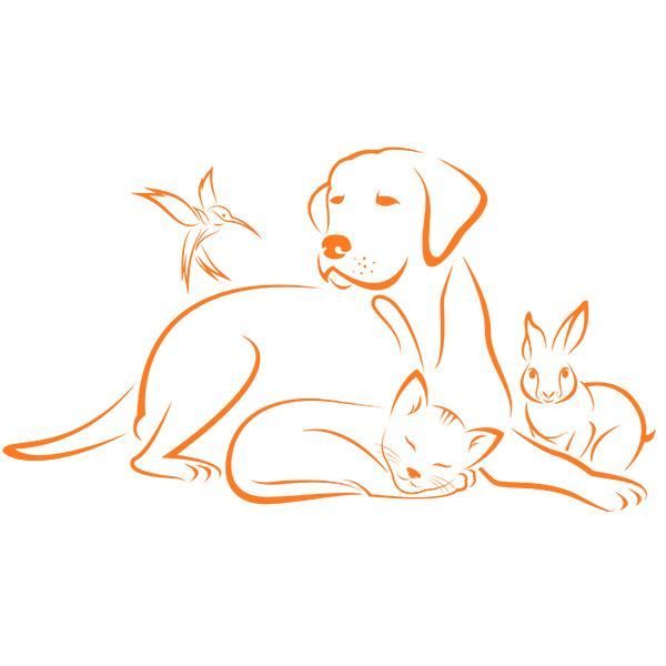 Sticker Animaux Chien Chat Lapin Oiseau Mignons 50x90 Cm Orange Anim003 Cdiscount Maison Sticker Animaux Chien Chat Lapin Oiseau Mignons 50x90 Cm Orange Anim003 Cdiscount Maison