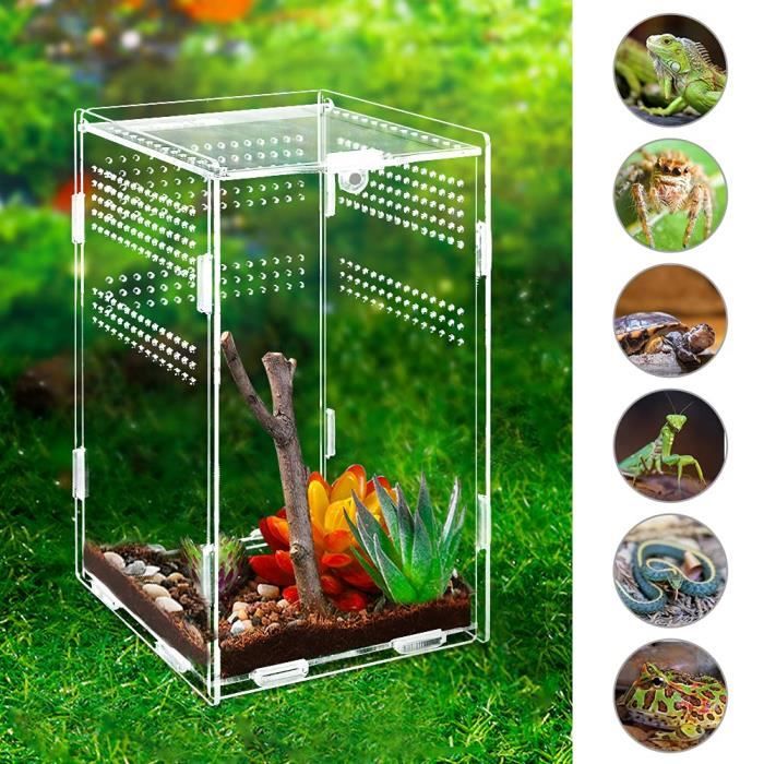 (8cm7cm10cm)Boîte d'élevage de Terrarium pour reptiles, étui en