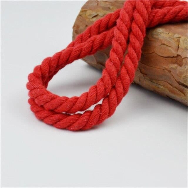 Lot De 2 Longues Cônes Plomb (Longe) – 3 Mètres – Qualité Shires