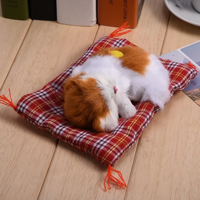 Petite peluche shop chat