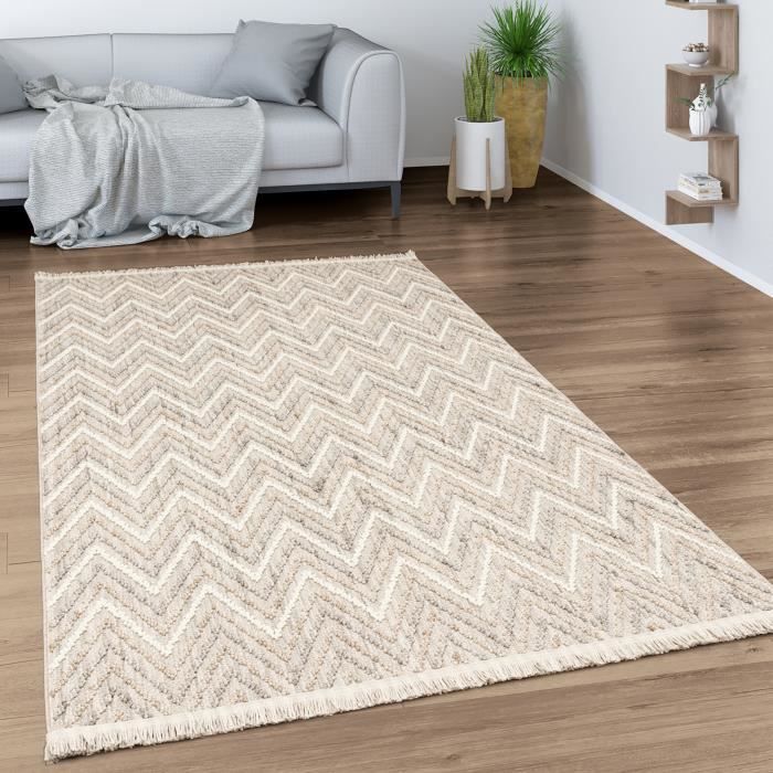 Tapis Salon Poil Ras