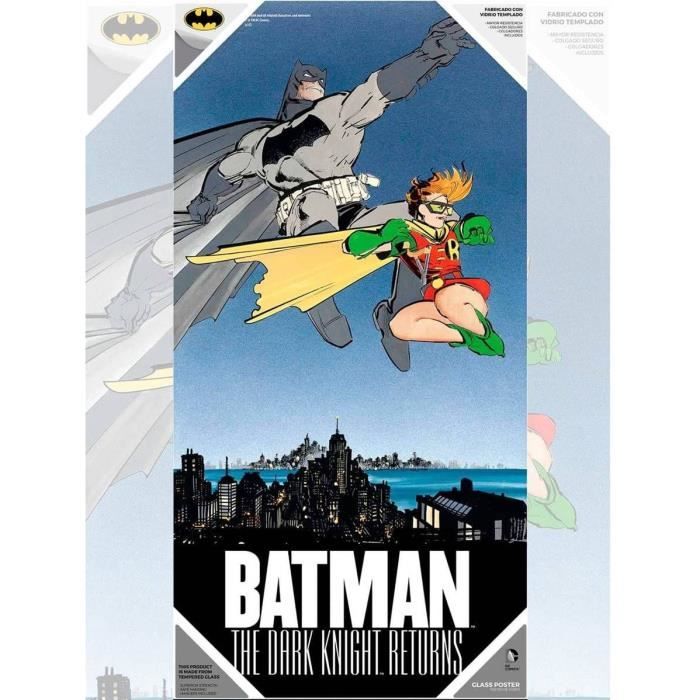 WTT DC COMICS DARK KNIGHT RETURNS BATMAN & ROBIN - Poster en verre trempé - 30x60cm