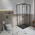 Swiss Aqua Technologies Brevis WC suspendu sans bride, fixations invisibles + abattant ultra-fin, softclose (BrevisRimless)-2