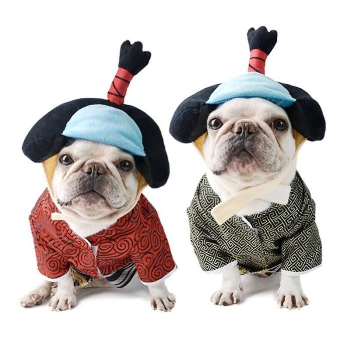 Amazone manteau on sale chien