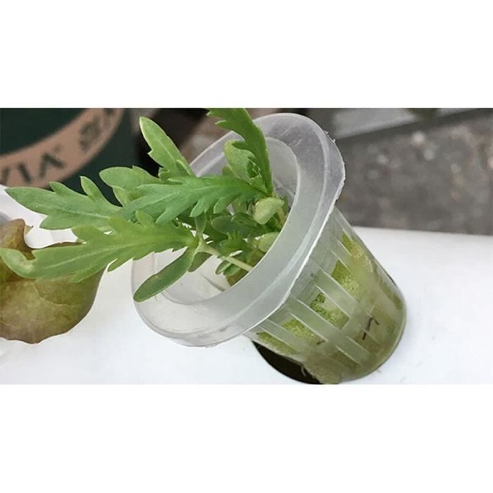 Système Hydroponique D'intérieur IDOO - 5 Pods Avec Lumière - Pour Herbes Et Germination