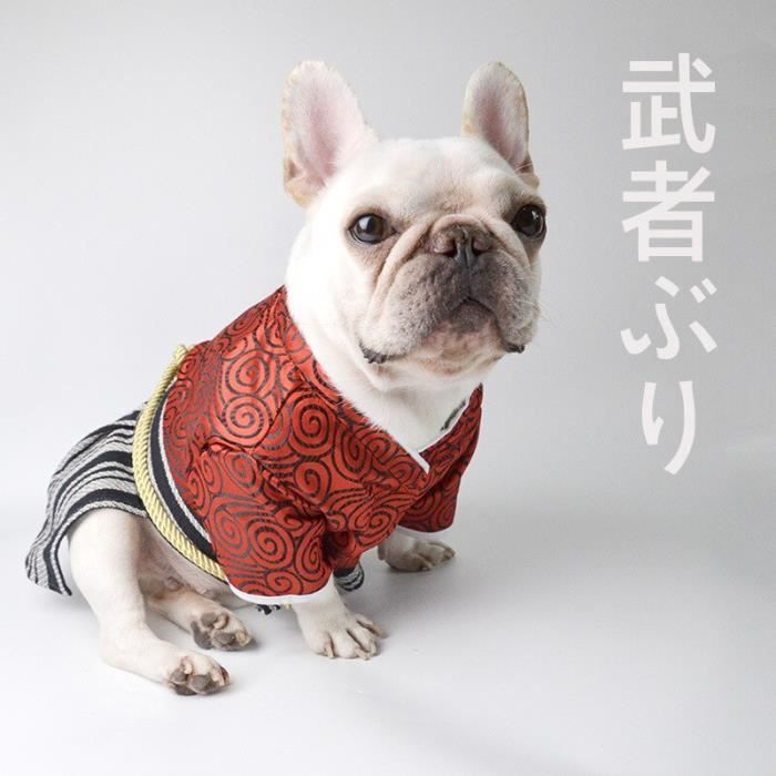 Amazone manteau on sale chien