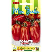 Sachet de  Tomate San Marzano 2 - 0,5 g - légume fruit - LES GRAINES BOCQUET