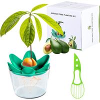 Avocado PlantTrancheuse d'Avocat Kit de Plantation d'Avocat Cultivez Votre Propre AvocatKit Jardinage Convient pour la Cultur [37]
