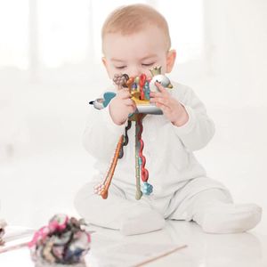 COFFRET CADEAU Jouet sensoriel pour bébé, jouet montessori sensor