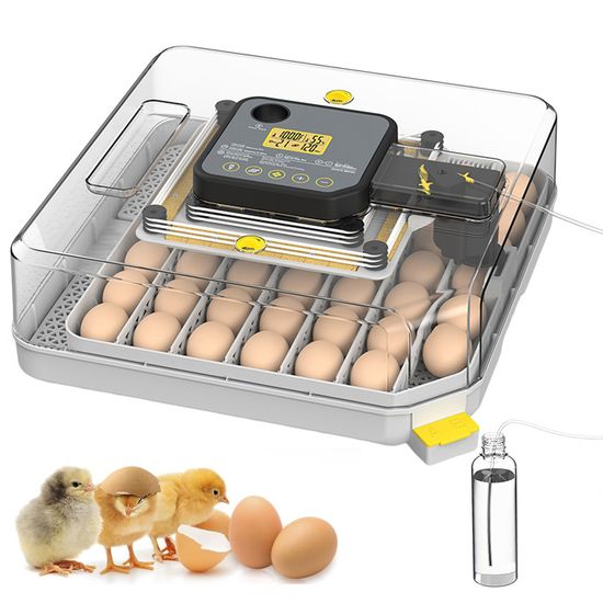 Couveuse Oeuf Automatique, Incubateur Oeuf Automatique 24-36 Oeufs avec