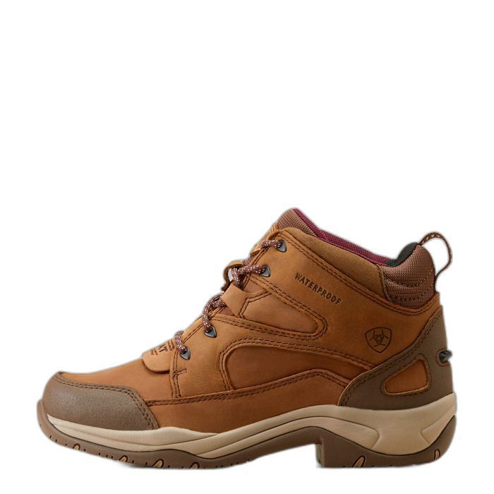 Bottines imperméable femme Ariat Telluride II H2O marron