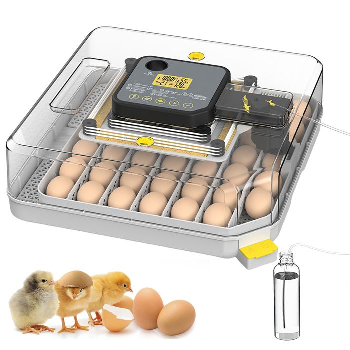 Meilleurs prix pour Couveuse 48 Oeufs Incubateur Oeuf Automatique Avec Retournement Automatique des Oeufs et Humidification Automatique grises