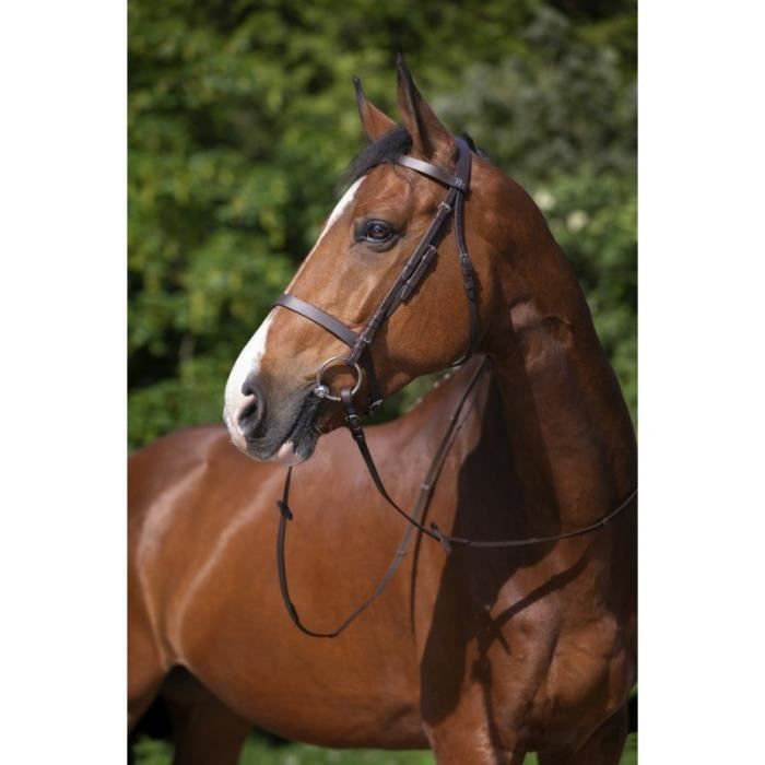 Martingale De Course Ronde Surélevée En Cuir TORY – Havane, Taille Cheval (NEUF)
