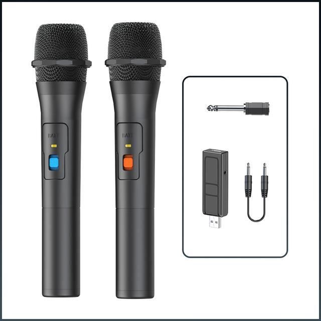 Microphone karaoké sans fil,2Pcs Mic--Kit de système de microphone sans fil  avec récepteur USB, karaoké, haut parleur Smart TV, chan - Cdiscount  Informatique