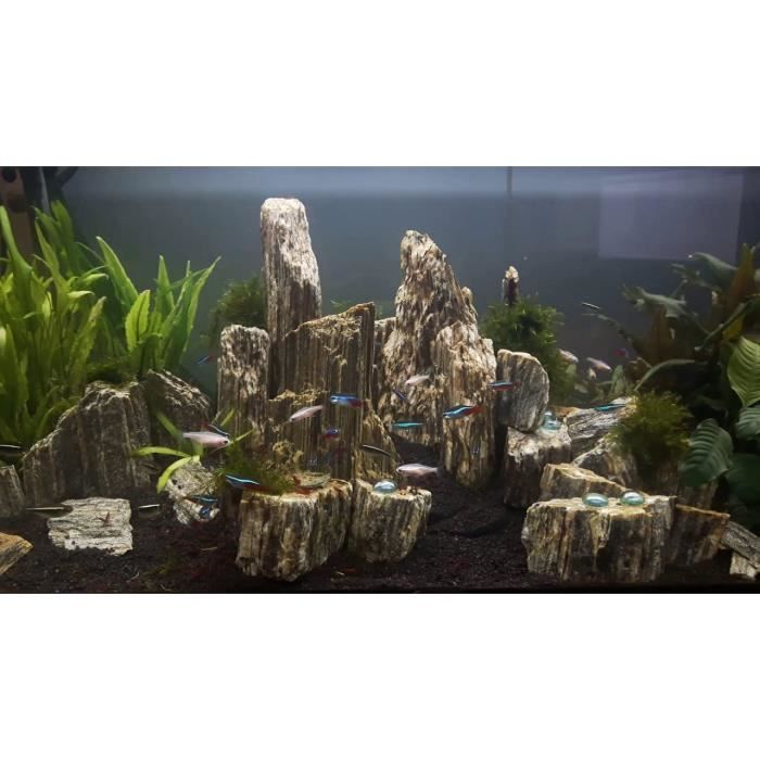 Pierres et roches naturelles pour aquarium