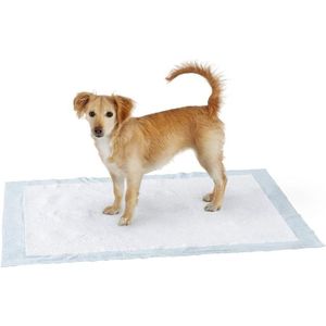 Couche Pour Chat Cdiscount Couche Pour Chat Cdiscount