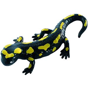 Schleich 14813 Lion Jeune-Neuf avec étiquette-Wild Life//Afrique-Safari