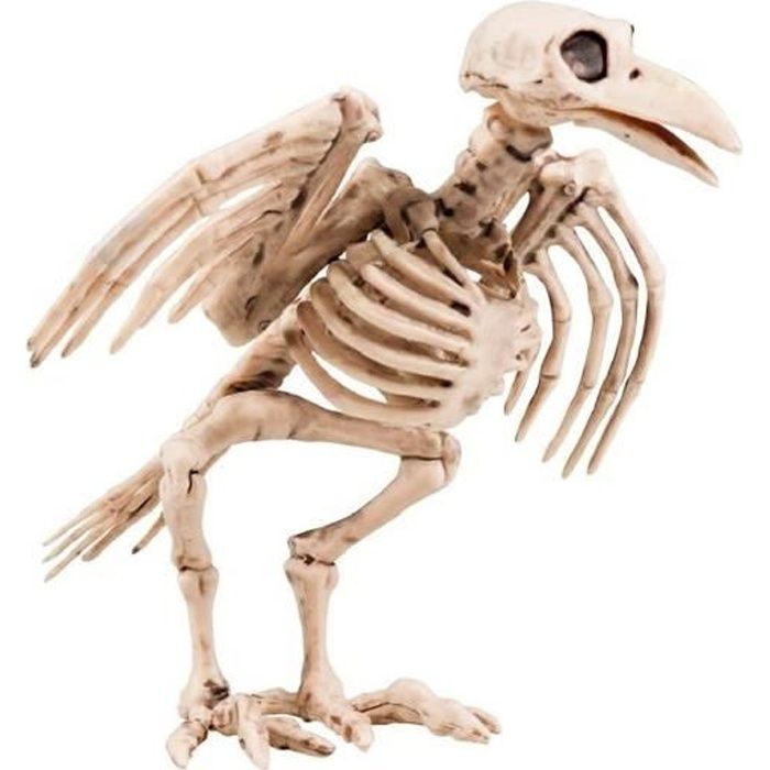 Oiseau Corbeau squelette décoration de Halloween Prop