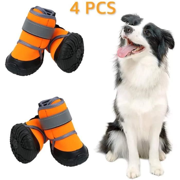 Textiles et accessoires pour chiens Zeraty Dog Shoes Patte