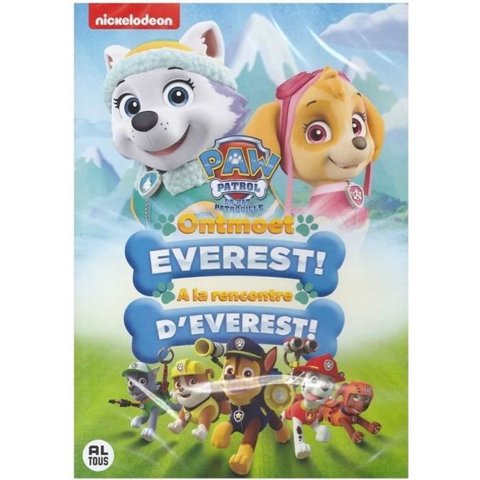 La Pat Patrouille 5 Paw Patrol 5 Dvd Cdiscount Dvd