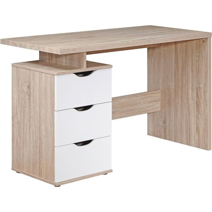 FineBuy Bureau Design en Bois de sheesham Massif Naturel 160 x 80 x 76