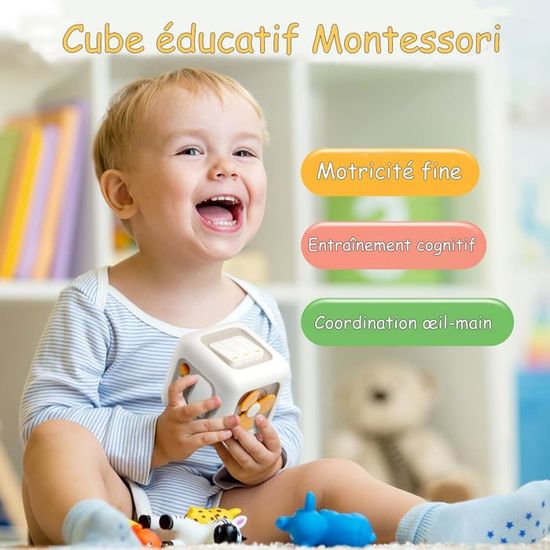 Bukuhlio Jouets Bébé 1 an Cube d'Activité 6 en 1 pour Garçons et Filles, Sensoriels Montessori Jouets Enfant, Jouets de Voyage pour de 1 à 3 Ans, Jeux Bébé Cadeaux 12 à