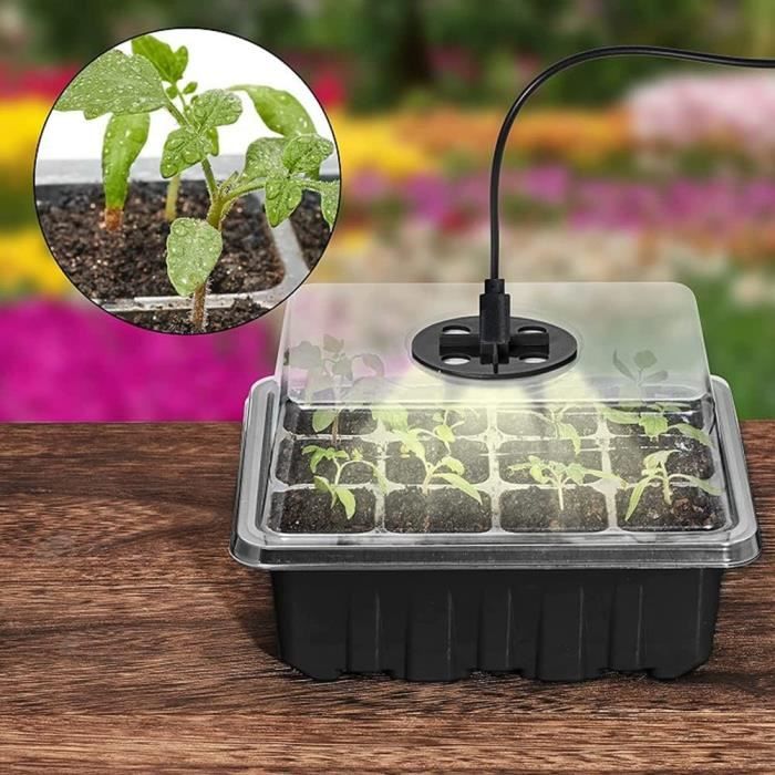 Kit de démarrage pour plantes, boîte de démarrage et base, mini kit de  germination de serre