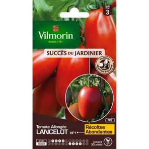 GRAINE - SEMENCE VILMORIN Tomate Lancelot HF1 Sachet de graines - O