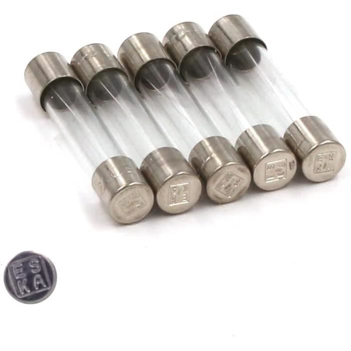 10 Fusibili Vetro 5x20mm 16A/250V - Medio Temporizzati (MT) - ESKA ZKM-16A