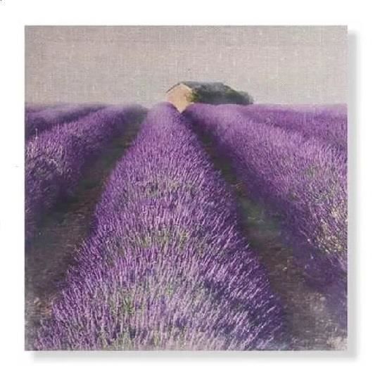 Tableau Toile XXL Muralo – Champ De Lavande 3D – Impression D'art Grand Format
