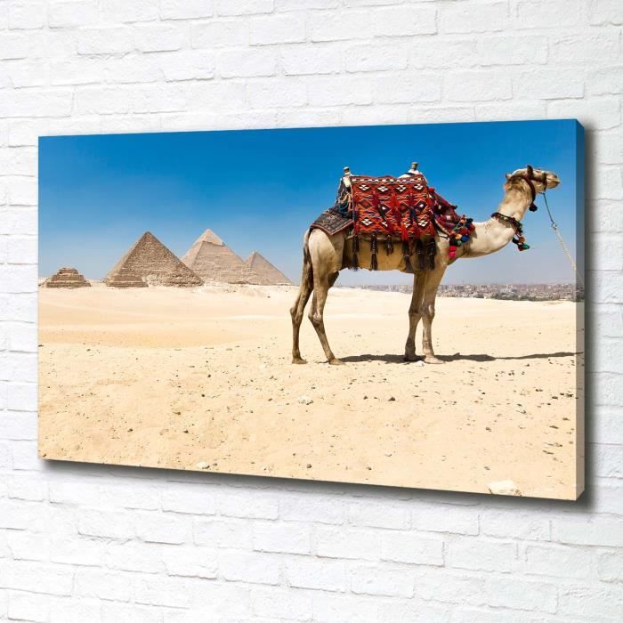 Tableau Chameau Cdiscount