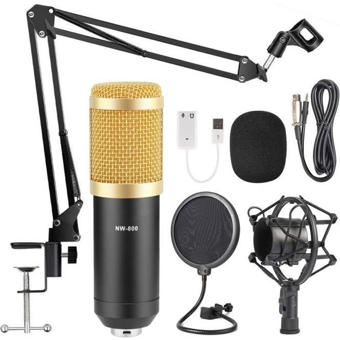 NW-800 Microphone à Condensateur et NW-35 Réglable d'Enregistrement Bras de  Suspension avec Support Antichoc et Kit de Montage Pince - Cdiscount TV Son  Photo