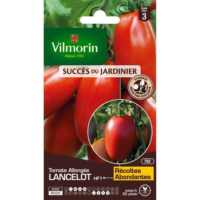 VILMORIN Tomate Lancelot HF1 Sachet de graines - Obtention Vilmorin