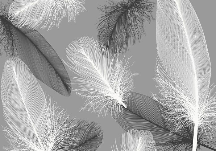 HGFHGD Papier peint Photo 3D auto-adhésif Art moderne plume blanche salon canapé TV fond Mural autocollant mural Art mural
