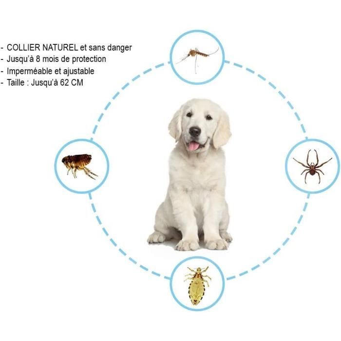 Collier AntiPuces et AntiTiques pour Chats Chiens/Chats,Jusqu'à 8 — free download