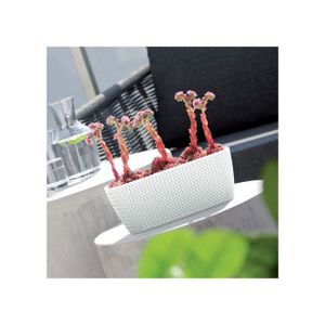Soucoupe Pot Fleur 30 Cm Lot De 10 Soucoupes Transparentes En Soucoupe Pot Fleur 30 Cm Lot De 10 Soucoupes Transparentes En