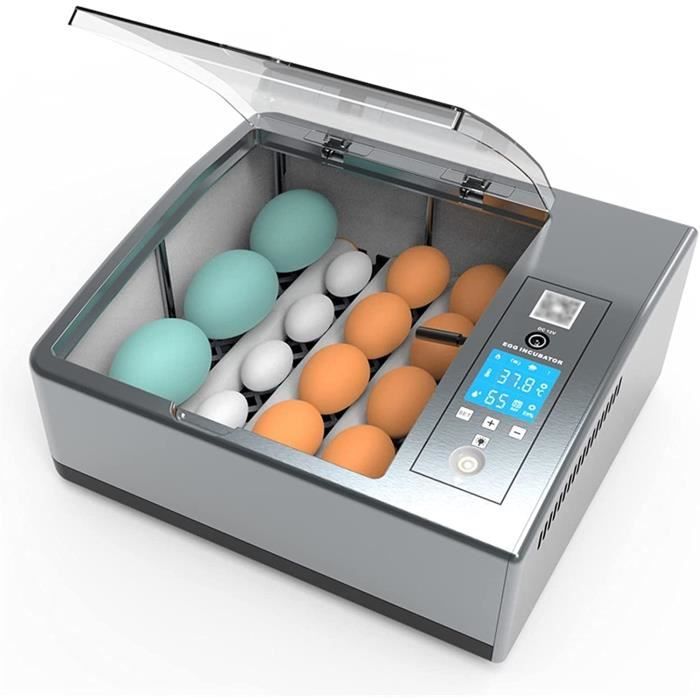 Mini Couveuse Automatique 6 œufs - Retournement Auto - Pour Poules, Cailles, Canards - Cadeau éducatif
