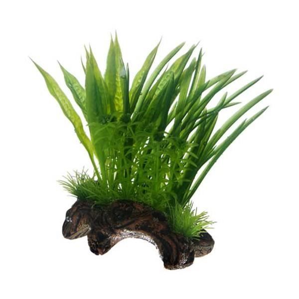 Hobby Flora Root S 1