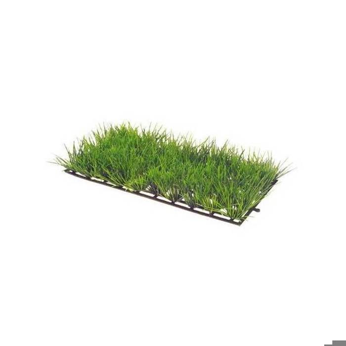 Meilleurs prix pour Plante d'aquarium - Hobby - Hobby 1 - Vert - Plastique - Facile à fixer