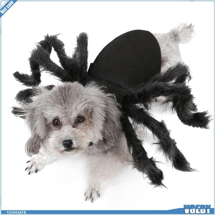 Meilleurs prix pour VGEBY Costumes de petit chien Halloween Halloween Dogs Cats Spider Costume Pet Party Tenues pour animalerie blouson Milieu noir