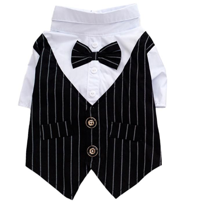 Chemise de smoking rayée pour chien costume formel nœud papillon déguisement élégant mariage chemise prince pour animal .