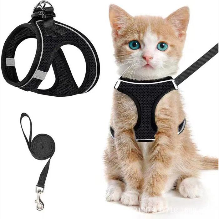 Harnais pour chat taille M + laisse 150cm harnais respirant et réfléchissant anti-évasion pour chat - Noir