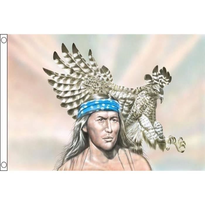 Drapeau Indien D Amerique Avec Aigle 150x90cm Des Indiens Haute Qualite Cdiscount Maison