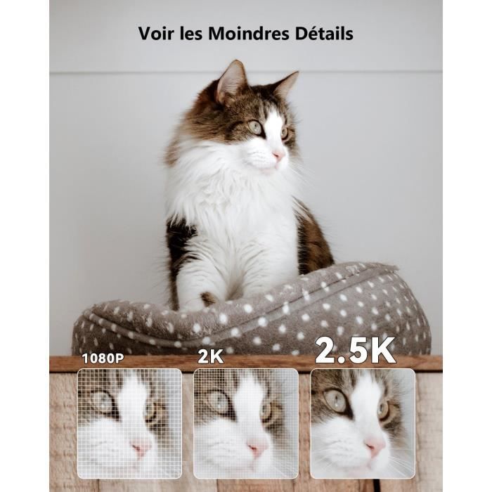 Imou Caméra Surveillance WiFi Intérieur IP Caméra Sécurité Bébé 1080P