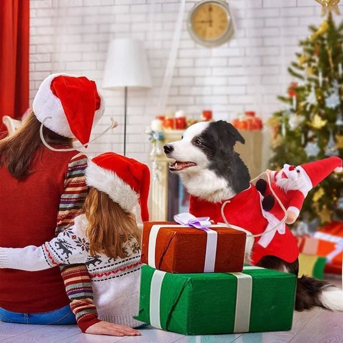 Manteau de top noel pour chien
